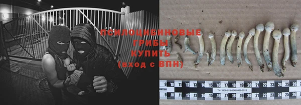 соль курить ск Новозыбков