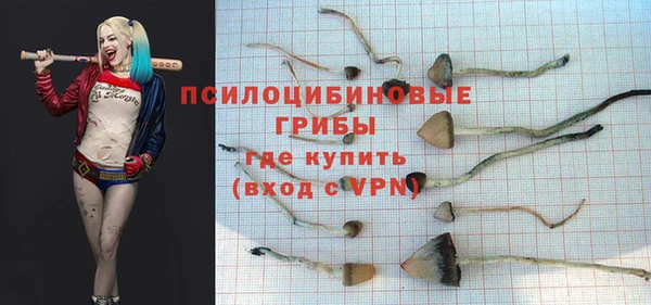 соль курить ск Новозыбков